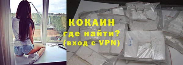 гашик Алзамай