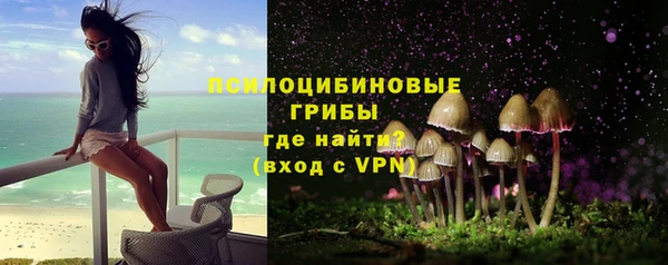 MESCALINE Аркадак