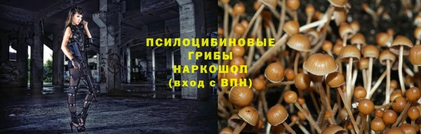 гашик Алексеевка