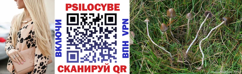 Псилоцибиновые грибы ЛСД  где можно купить наркотик  Обнинск 